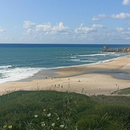 Tinyhouse Tilda - Near Famous Beaches Pataias Eksteriør bilde