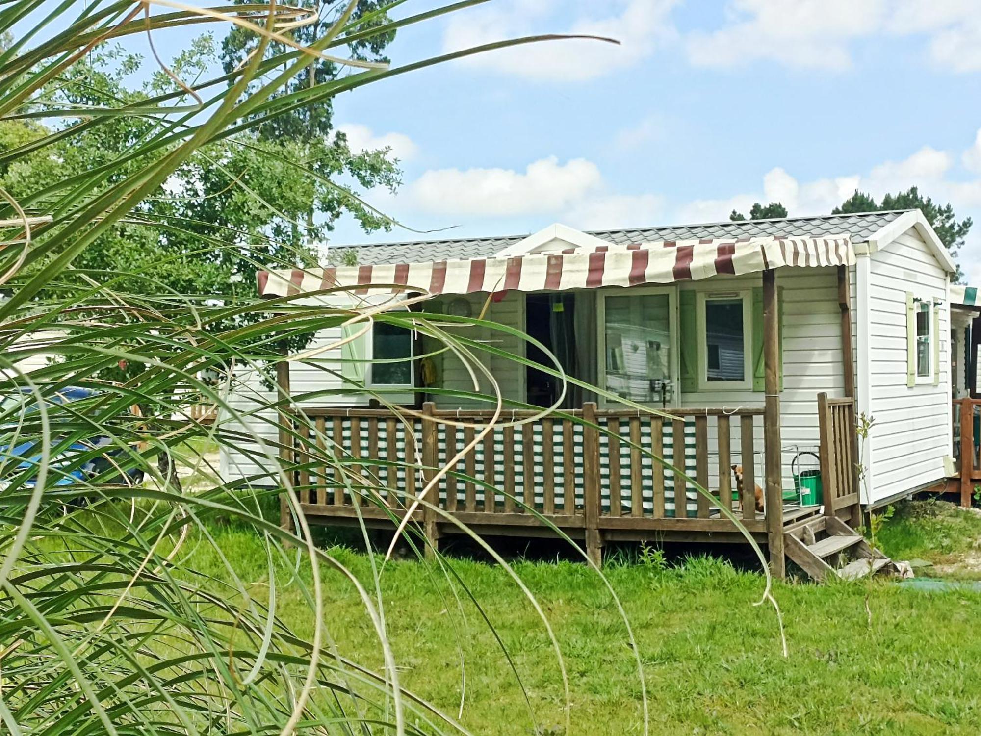 Tinyhouse Tilda - Near Famous Beaches Pataias Eksteriør bilde